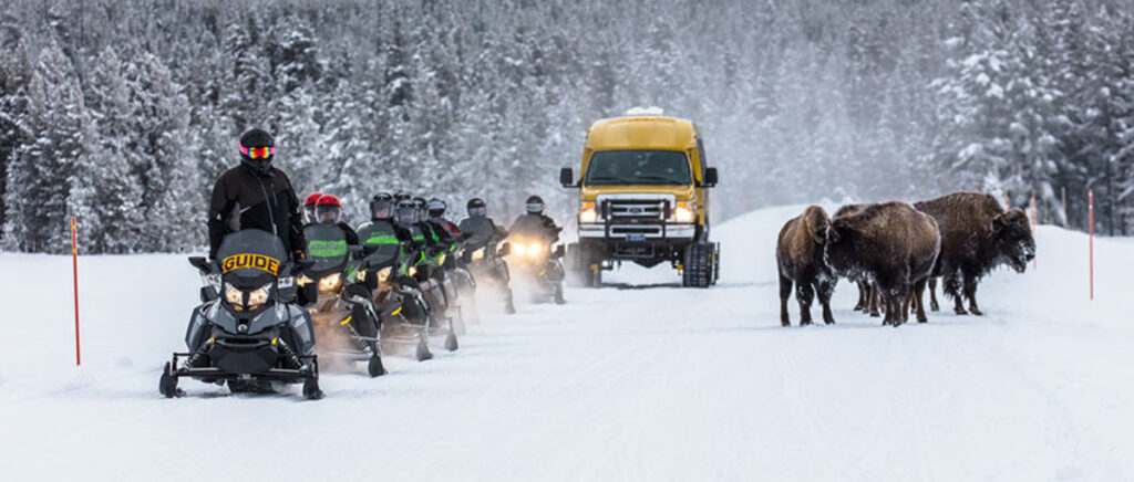 snowcoaches in yellowstone in the winter