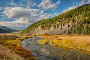 a picture of the Gallatin River in Montana in the fall